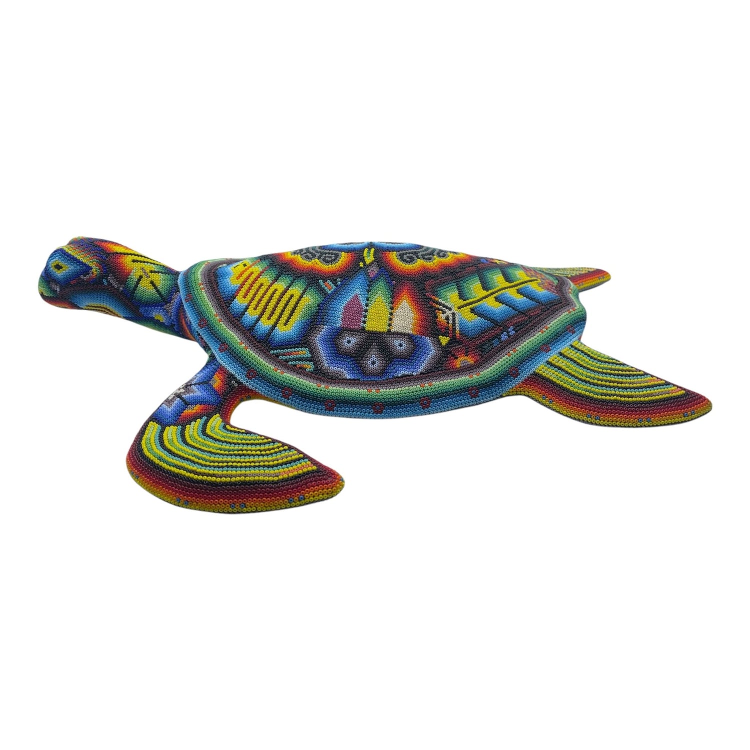 Tortue perlée CAGCH02