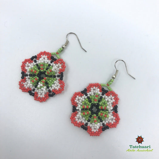 Beaded earrings Achfpryv10