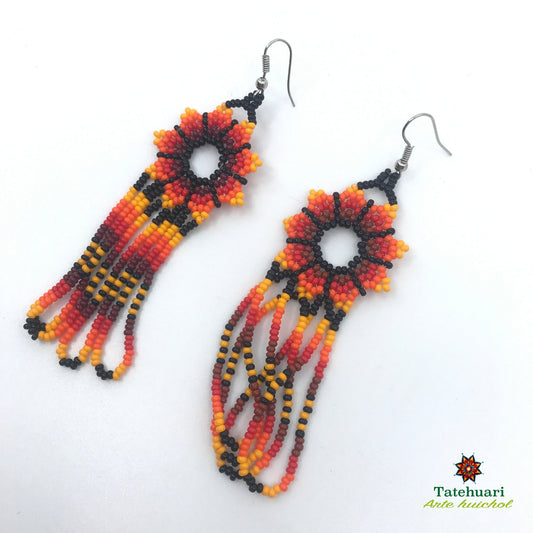 Beaded earrings Achflro01