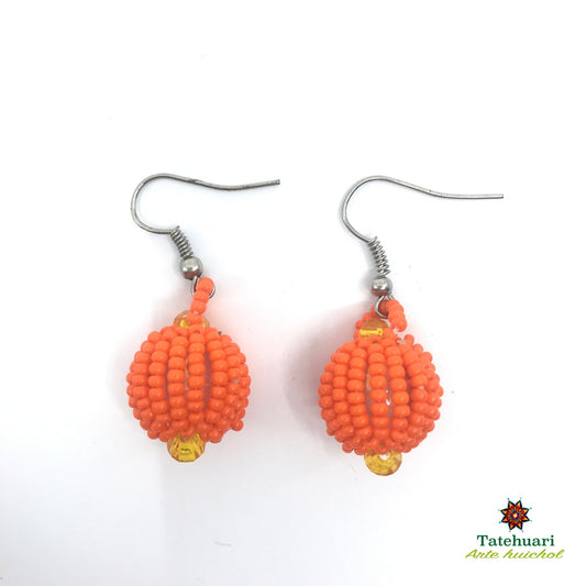 Beaded earrings Achesfna01