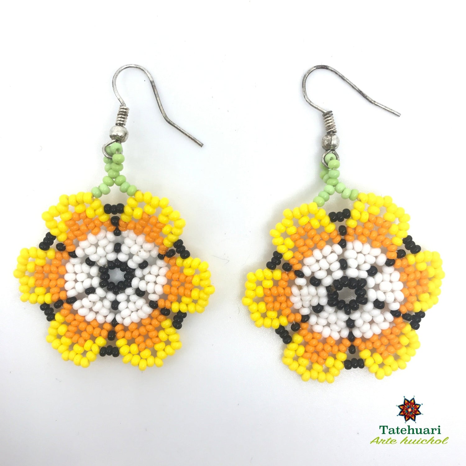 Beaded earrings Achfpa09