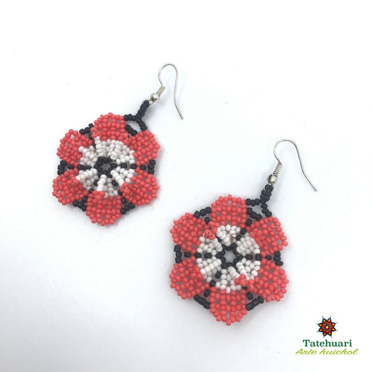 Aretes de chaquira Achfpro05