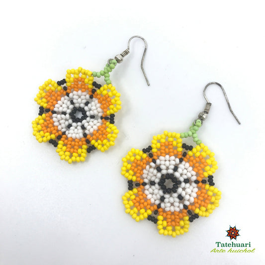 Beaded earrings Achfpa09