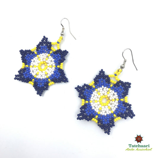 Beaded earrings Achfpaz07