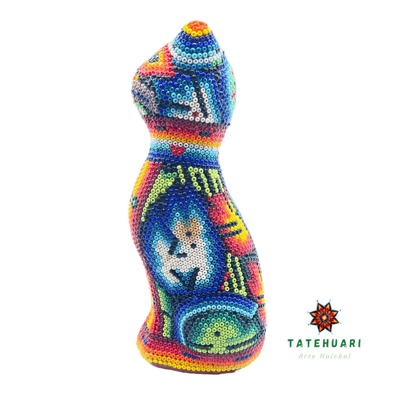 Gato de Chaquira - FM21