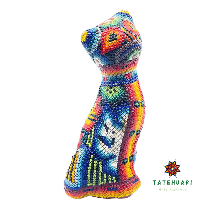 Gato de Chaquira - FM21