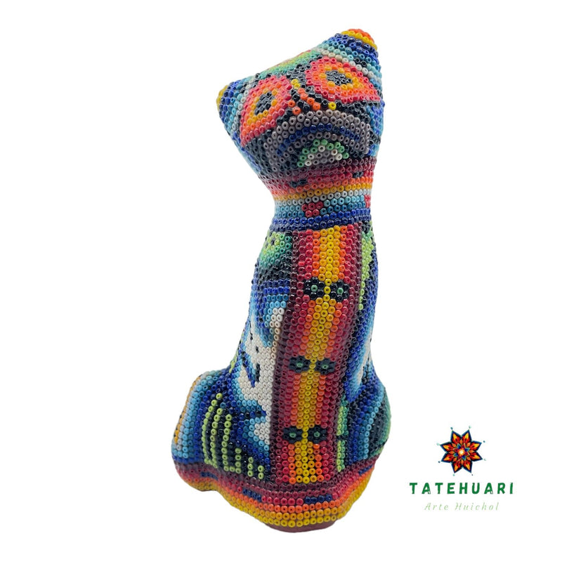 Gato de Chaquira - FM21
