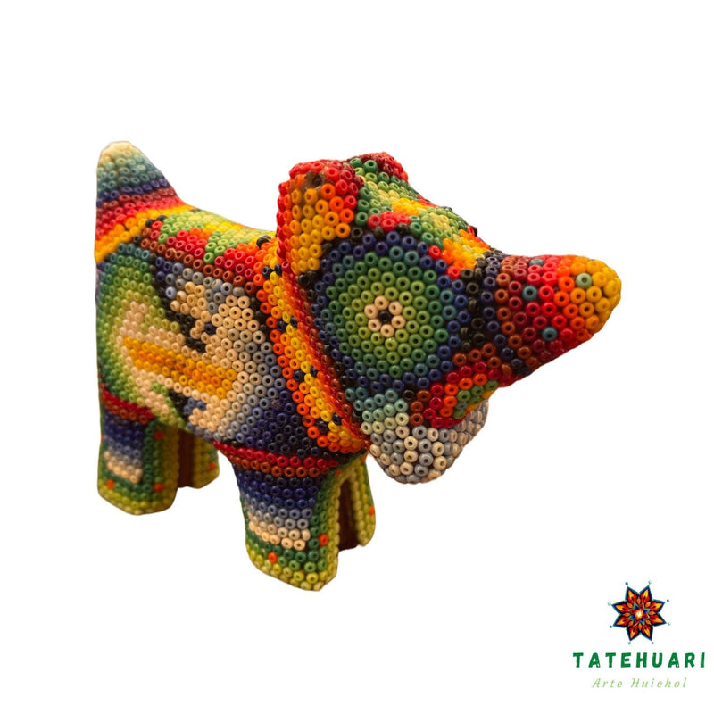 Chien - FCH08