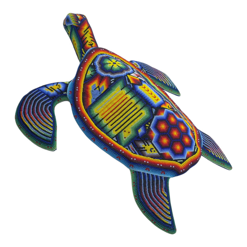 Tortue perlée CAGCH01