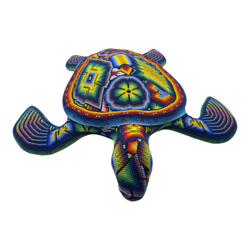 Tortue perlée CAGCH01