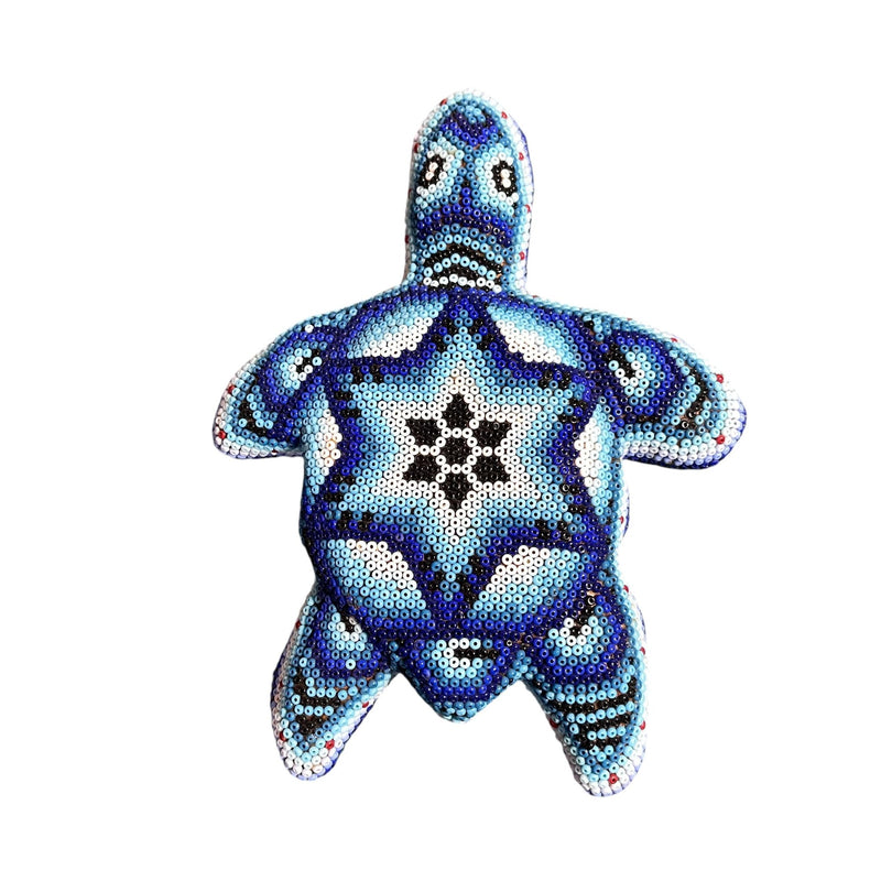 Tortue Chaquira - FM03