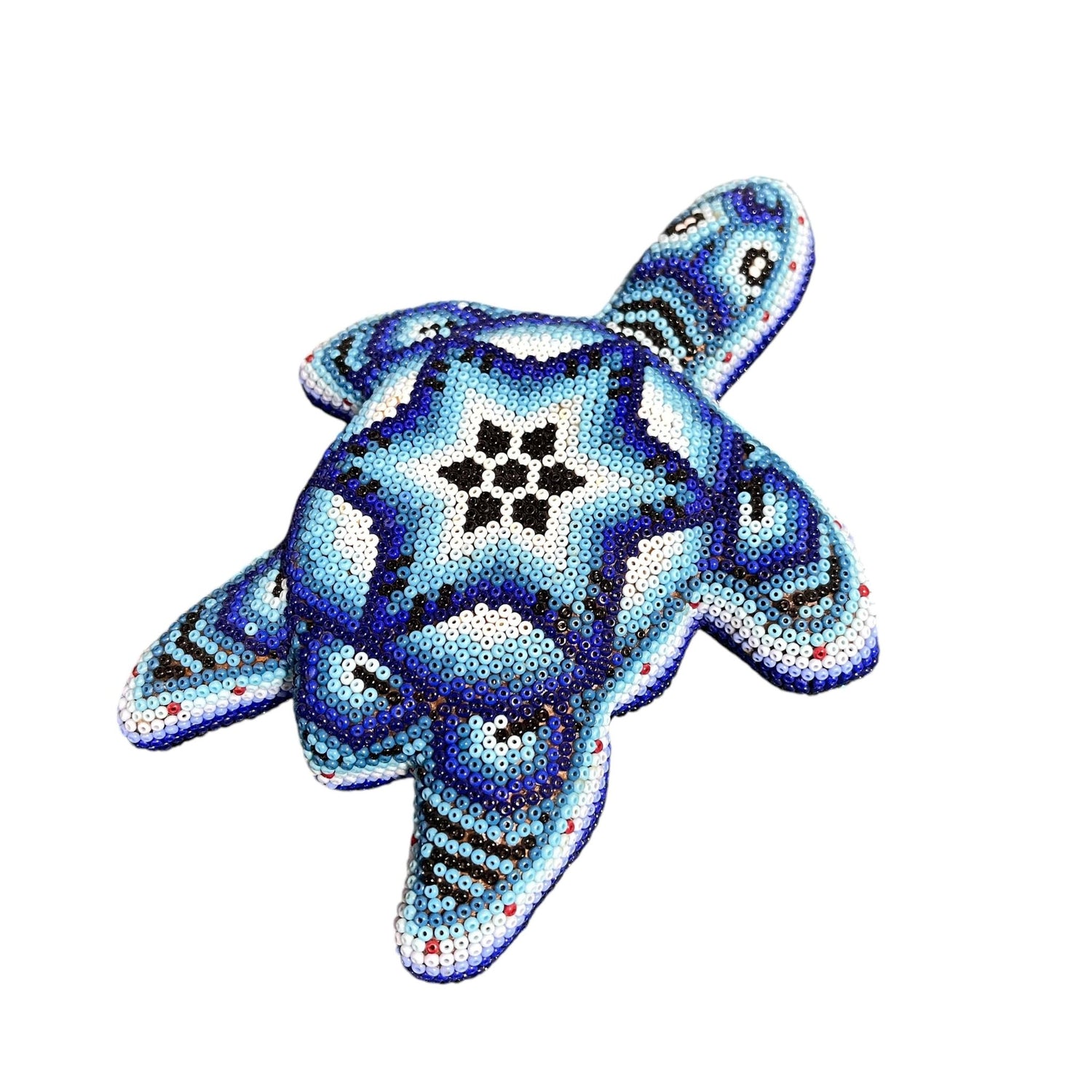 Tortue Chaquira - FM03