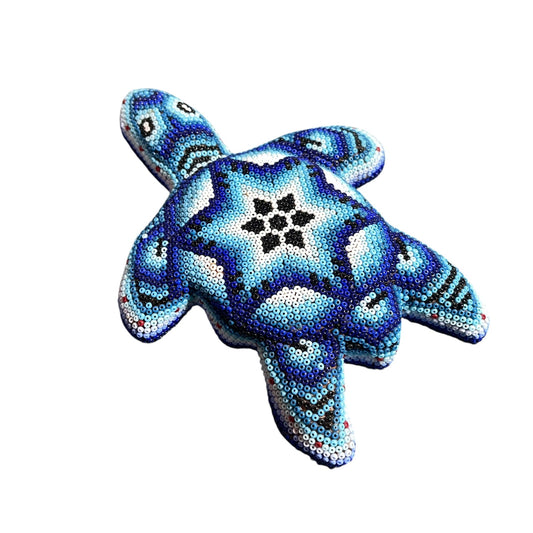 Tortue Chaquira - FM03