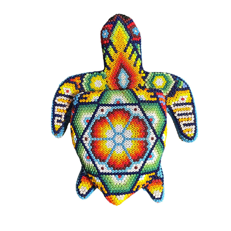Tortue Chaquira - FM03