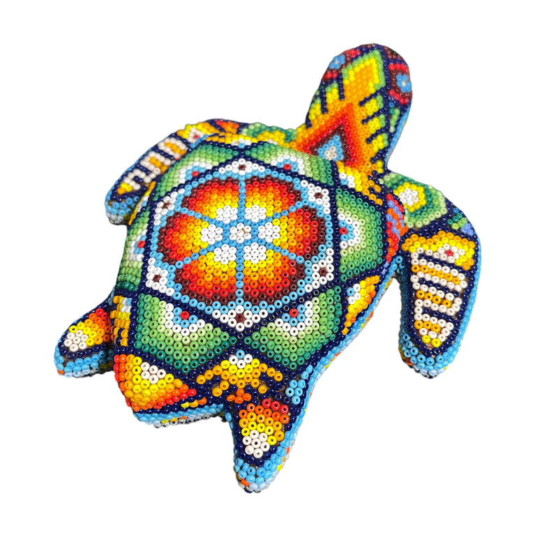 Tortue Chaquira - FM03