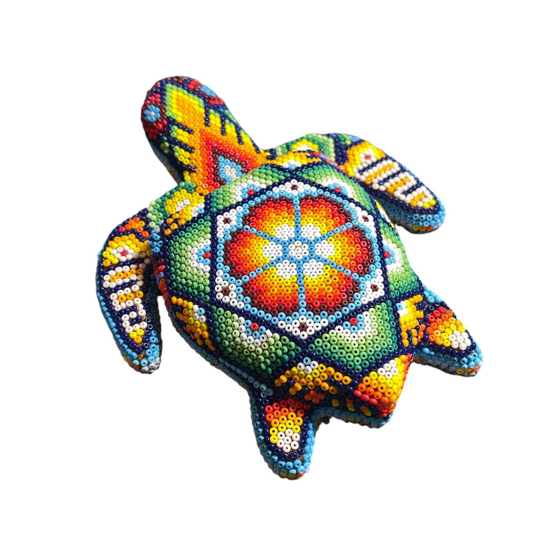 Tortue Chaquira - FM03