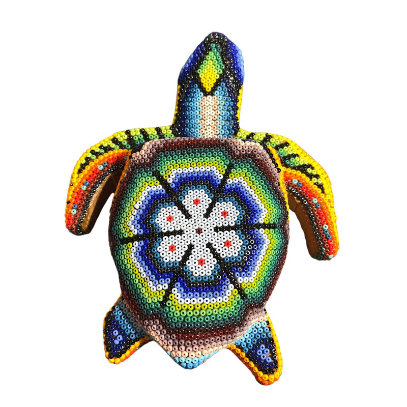 Tortue Chaquira - FM03