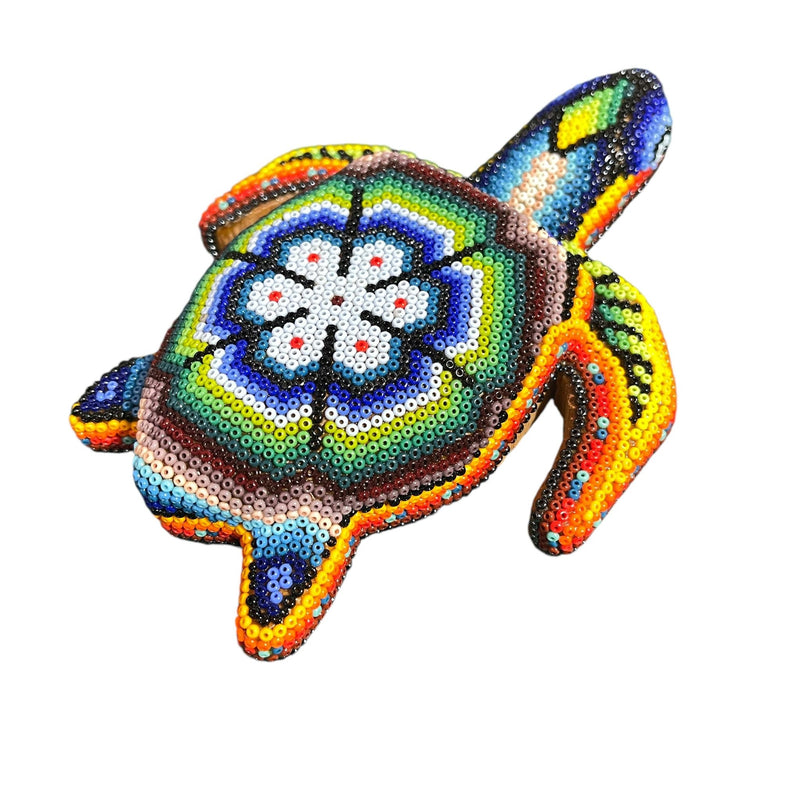 Tortue Chaquira - FM03