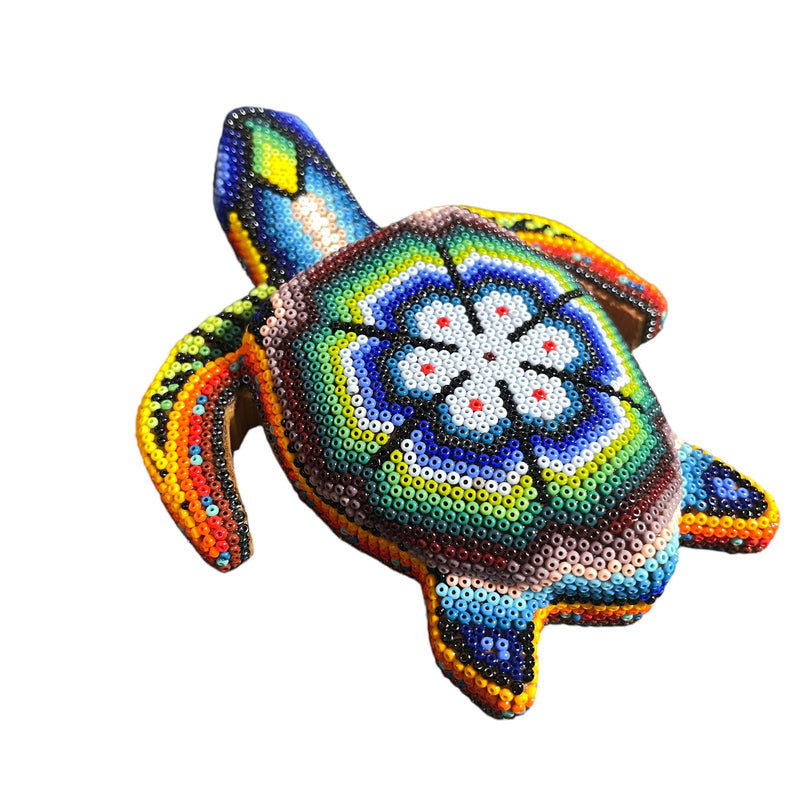 Tortue Chaquira - FM03