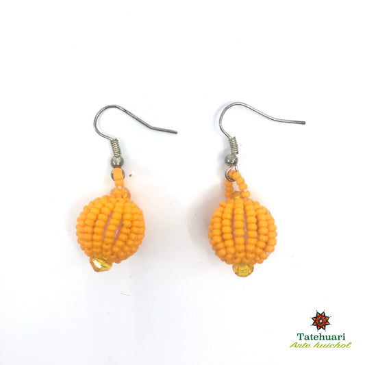 Achesfam02 beaded earrings