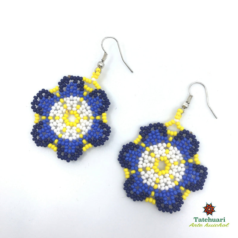 Aretes de chaquira Achfpaz06