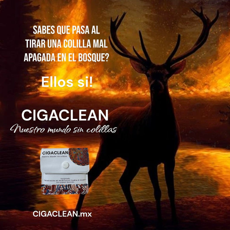 BOITE CIGACLEAN 
