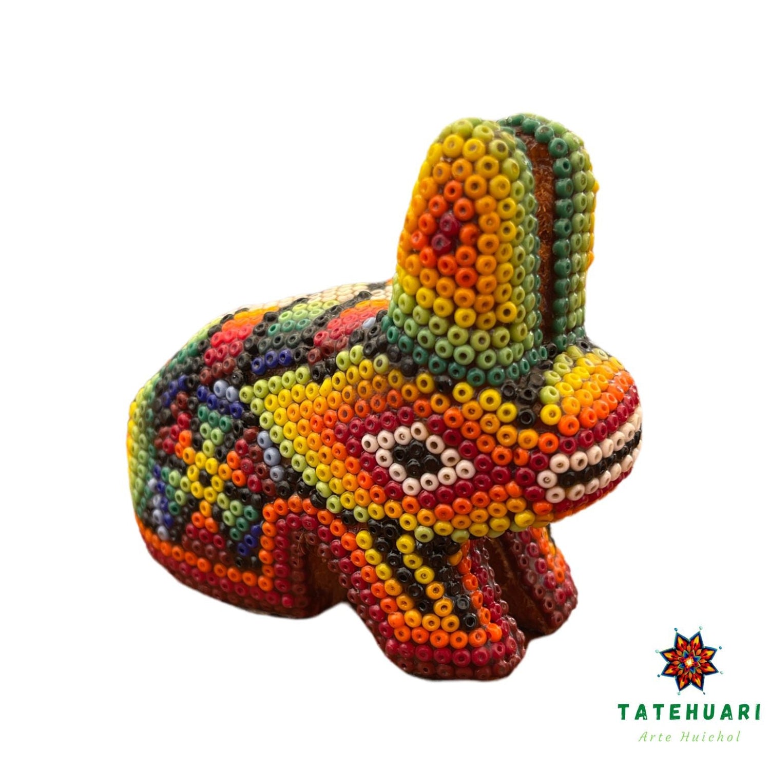 Lapin - FCH19 