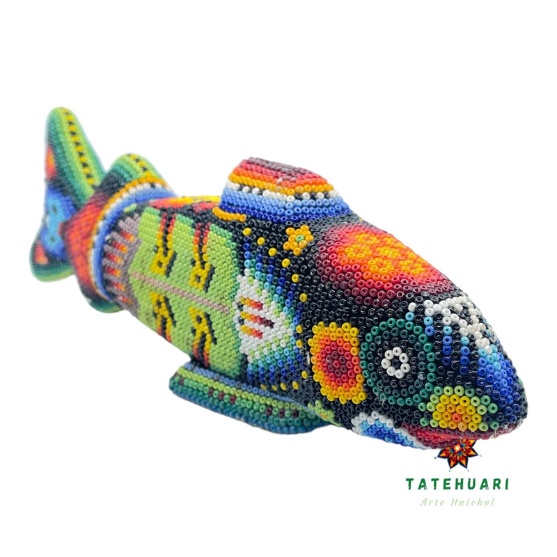 Requin FG14