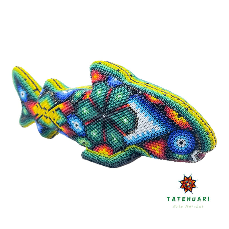 Requin FG14