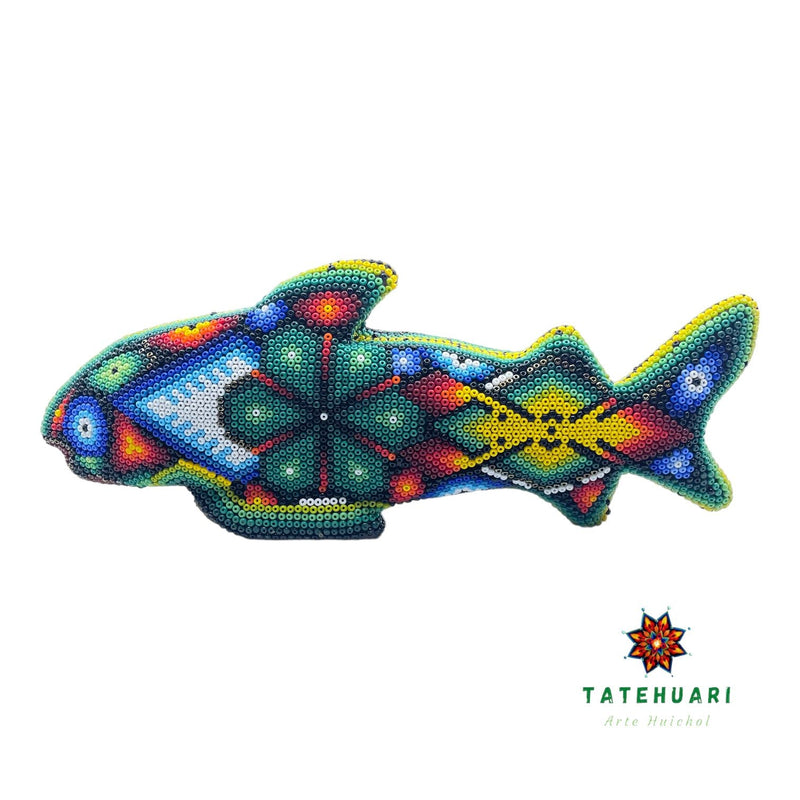 Requin FG14