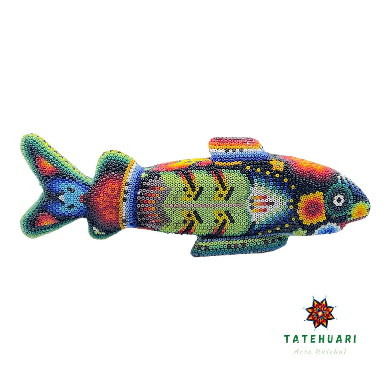 Requin FG14