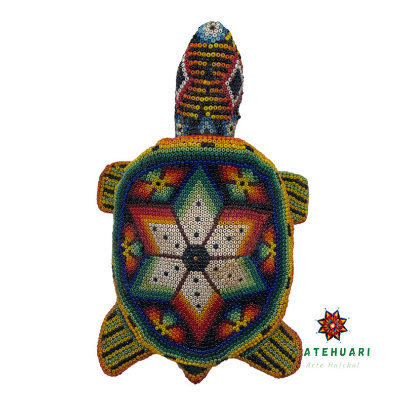 Tortuga de Chaquira FG16