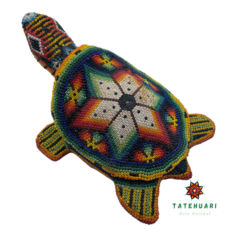 Tortuga de Chaquira FG16