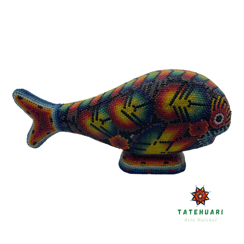 Ballena de Chaquira FG21