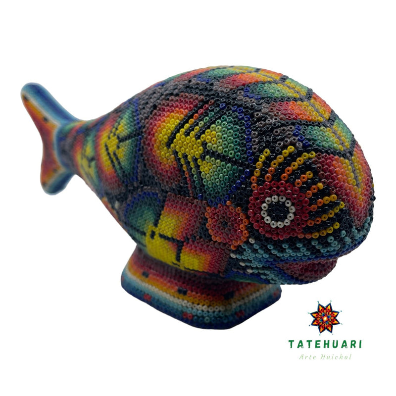 Ballena de Chaquira FG21