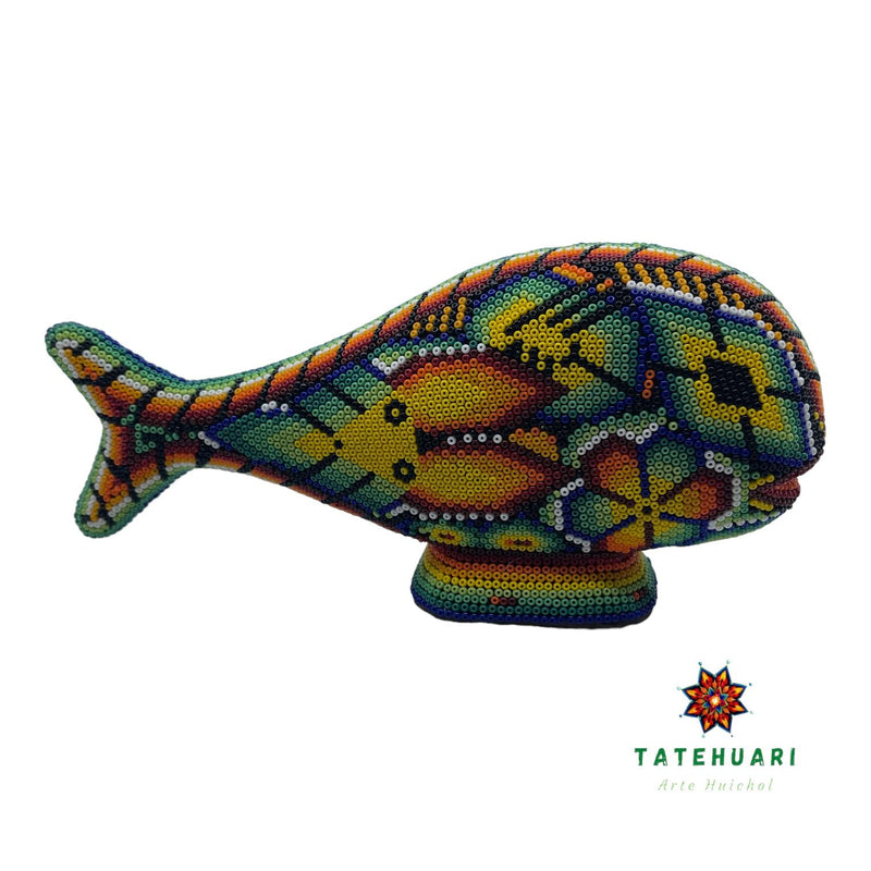 Ballena de Chaquira FG21