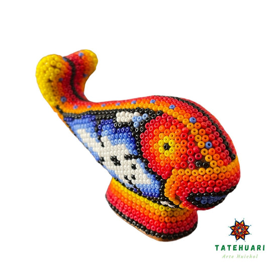 Baleine - FCH15