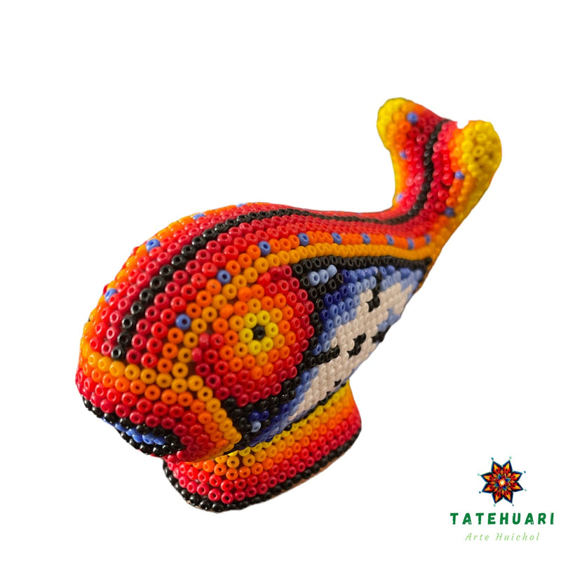 Ballena - FCH15